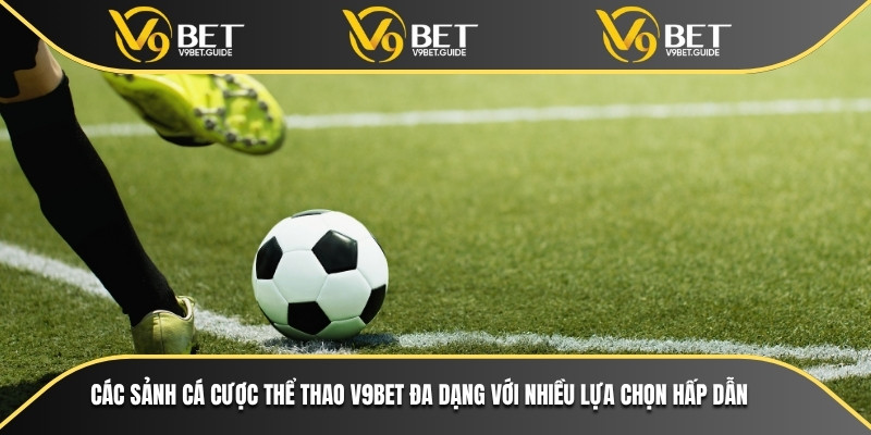 Các sảnh cá cược thể thao V9bet đa dạng với nhiều lựa chọn hấp dẫn