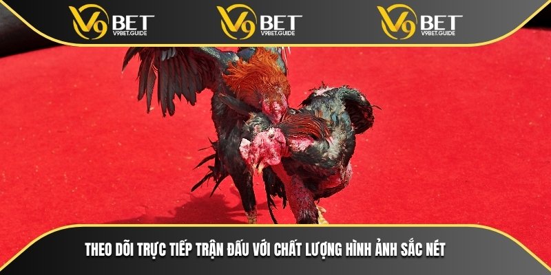 Theo dõi trực tiếp các trận đấu với chất lượng hình ảnh HD cực kỳ sắc nét