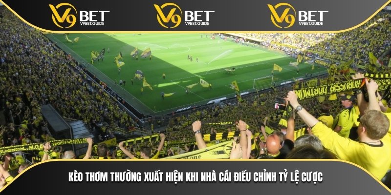 V9bet Và Bí Mật Kèo Thơm Dành Cho Người Chơi Cá Cược 5 Kèo thơm thường xuất hiện khi nhà cái điều chỉnh tỷ lệ cược
