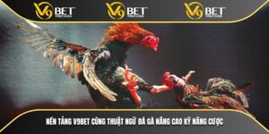 Thuật Ngữ Đá Gà