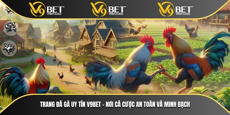 Trang đá gà uy tín V9bet