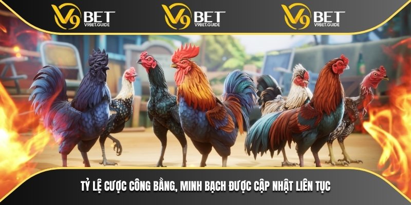 Tỷ lệ cược công bằng, minh bạch được cập nhật liên tục