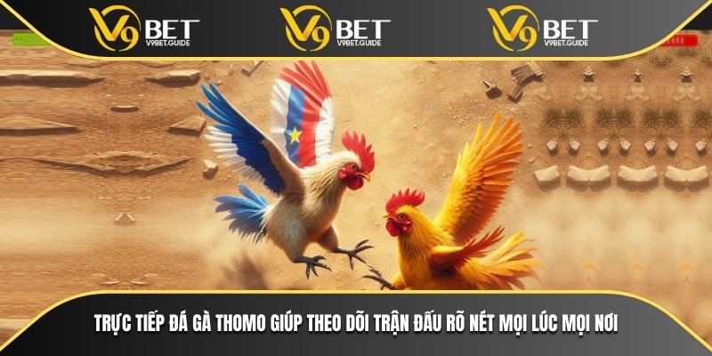 Trực Tiếp Đá Gà Thomo Chất Lượng Cao Tại Nhà Cái V9bet 6 Trực tiếp đá gà Thomo giúp theo dõi trận đấu rõ nét mọi lúc mọi nơi